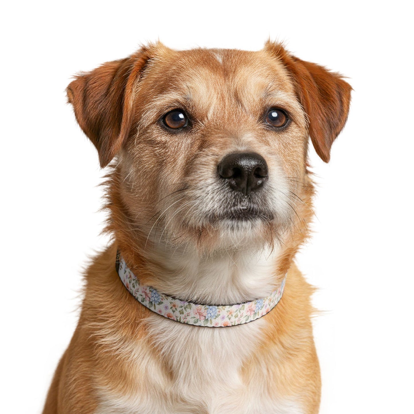 Floral Pet Collar — Pastel Blossom Clip-On Collar for Dogs & Cats