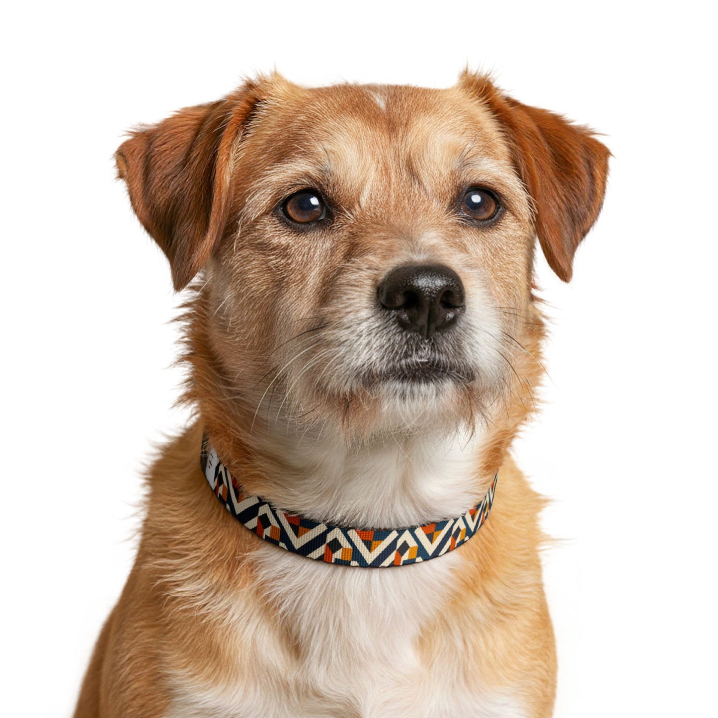 Geometric Aztec Clip-On Pet Collar — Adjustable Dog Collar with Orange & Navy Pattern