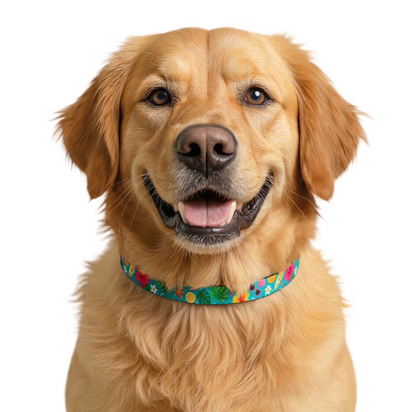 Tropical Floral Dog Collar – Clip-On Pet Collar for Small & Medium Dogs