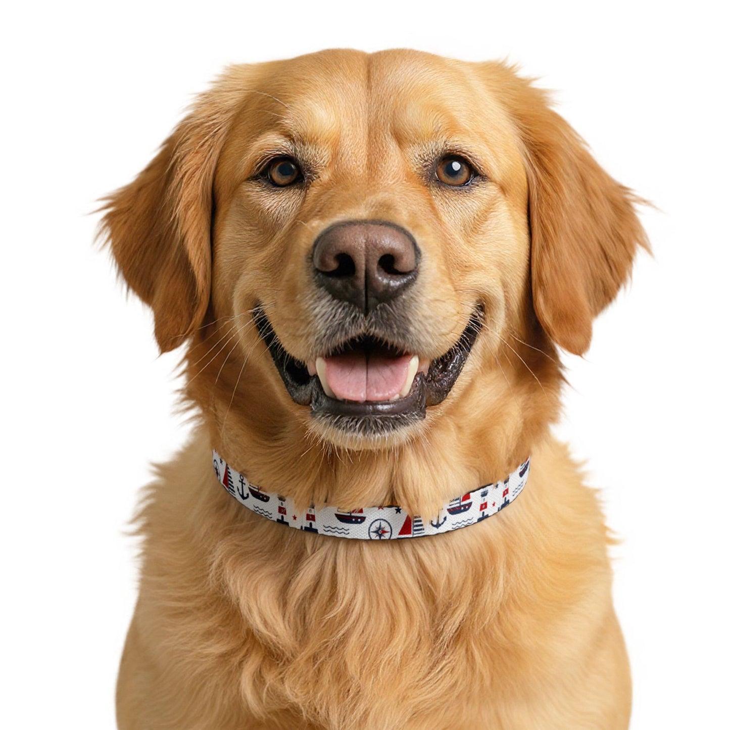 Nautical Boats & Anchors Clip-On Pet Collar — Cute Maritime Dog Collar